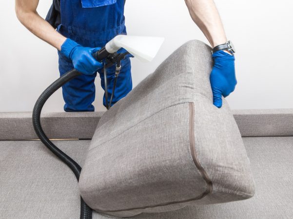 Cleaning service. Man janitor in gloves and uniform vacuum clean sofa with professional equipment.